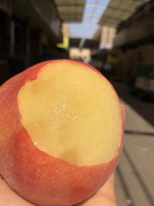 桃太郎 商品图1