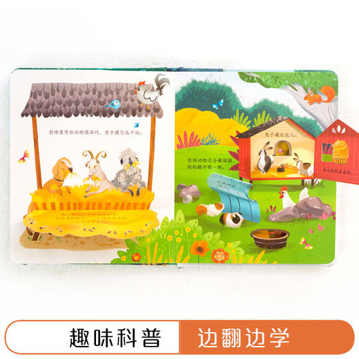 【全12册】尤斯伯恩偷偷看里面系列套装 接力出版社 启蒙教育认知书 精装科普翻翻书 百科全书式儿童益智畅销书 商品图4
