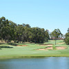 湖畔卡林尤普乡村俱乐部 Lake Karrinyup Country Club| 澳大利亚高尔夫球场 俱乐部 | 珀斯高尔夫 商品缩略图2