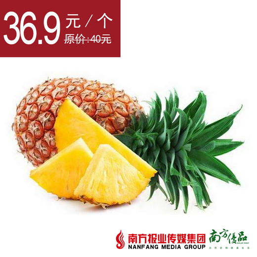 【次日提货】台湾凤梨  约4斤/个 商品图0