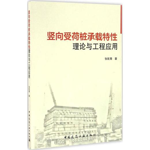 竖向受荷桩承载特性理论与工程应用 商品图0