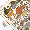 我的动物园（法国著名插画家运用独特的版画艺术带你进入美丽的动物图画书） 商品缩略图3