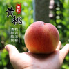 尝鲜啦 羞红黄桃 自然成熟 新鲜水果 农家肥 现摘现发 500g 商品缩略图0