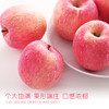 【果切组合】顶端果业洛川红富士苹果6枚装大果+切果器 商品缩略图4
