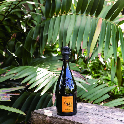 78狮子座78veuveclicquotlagrandedame2008凯歌贵妇香槟2008礼盒