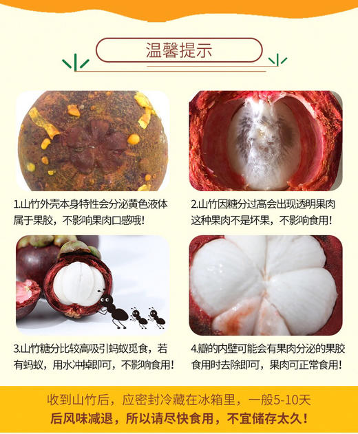 印尼老树 山竹 （麻竹） 商品图3