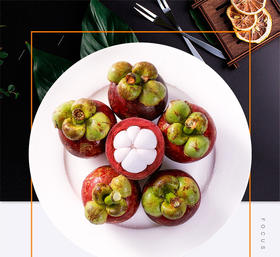 印尼老树 山竹 （麻竹）