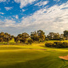 库永伽高尔夫俱乐部 Kooyonga Golf Club| 澳大利亚高尔夫球场 俱乐部 商品缩略图1
