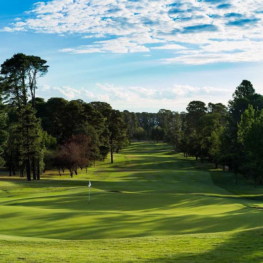 皇家堪培拉高尔夫俱乐部  Royal Canberra Golf Club| 澳大利亚高尔夫球场 俱乐部 商品图5