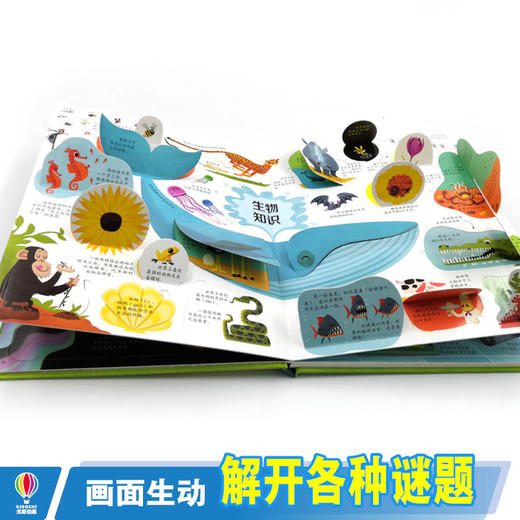 尤斯伯恩看里面·揭秘知识 儿童启蒙认知 益智教育百科全书 科普翻翻书 精装图画书 商品图8