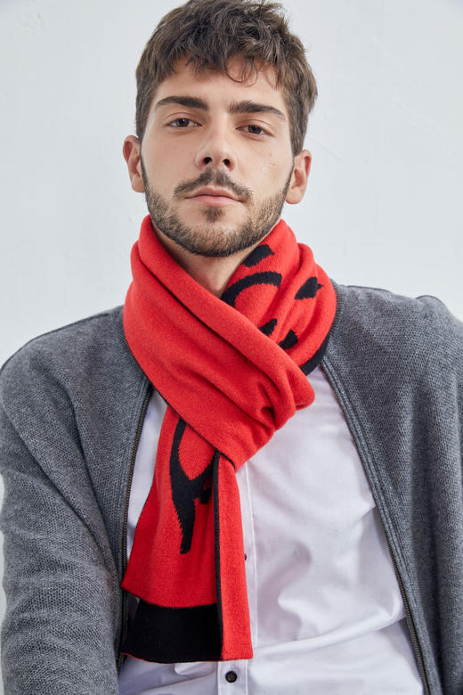 生肖系列羊绒围巾 SJPS1130N 商品图2