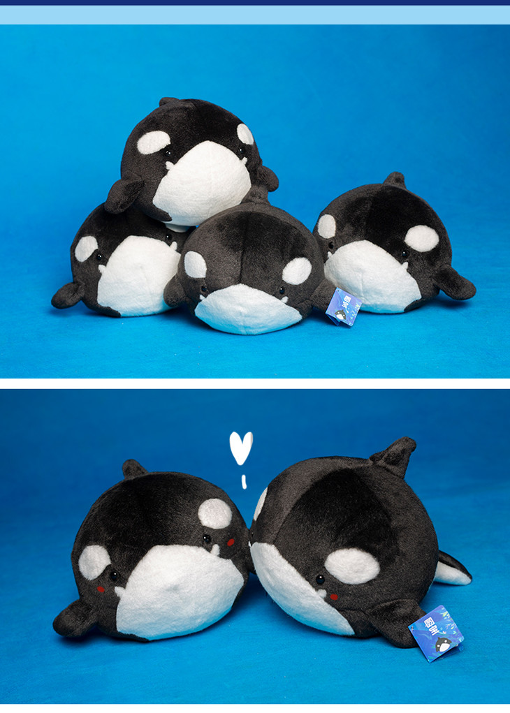 博物小馆原创圆宝虎鲸毛绒鲸鱼玩具儿童节可爱