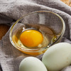 7月28日食安早报：鸡蛋煮几分钟口感最佳？ 商品缩略图0