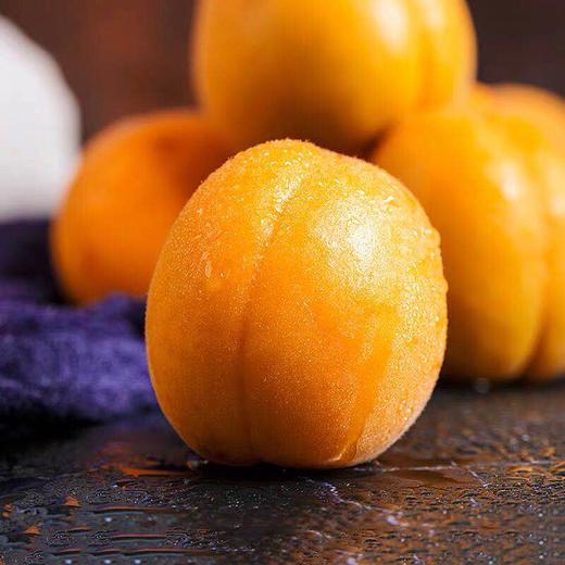 「汁多核小 金黄璀璨」山西金太阳大黄杏5斤装