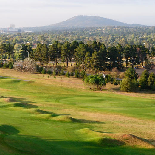 皇家堪培拉高尔夫俱乐部  Royal Canberra Golf Club| 澳大利亚高尔夫球场 俱乐部 商品图3