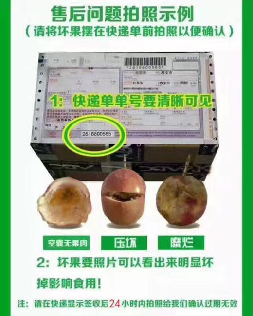 印尼老树 山竹 （麻竹） 商品图4