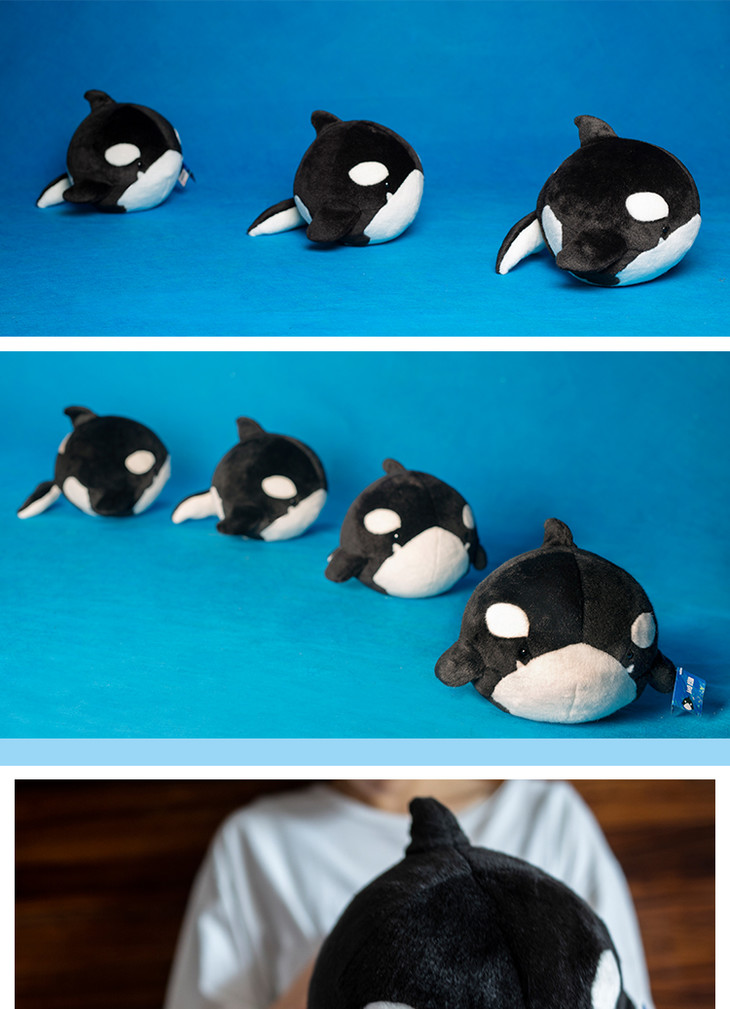 博物小馆原创圆宝虎鲸毛绒鲸鱼玩具儿童节可爱