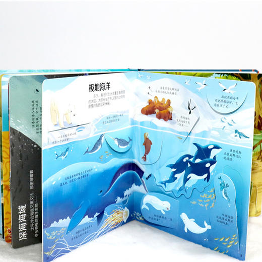 尤斯伯恩看里面（低幼版）·揭秘海洋 Look Inside揭秘系列图书，荣获英国“地理学会”银奖，50多张翻页，揭开大千世界的精彩 商品图7