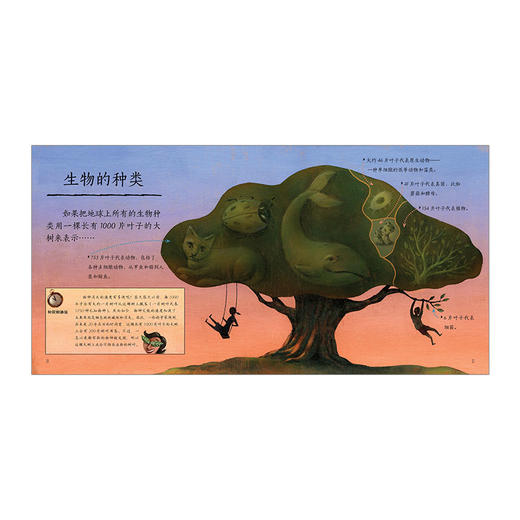 如果把银河系装进盘子里 商品图4