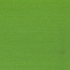15230461/404.800 爱仕沃玛（axroma）平织纹-芹菜绿Canvas Celery提花面料适用于室内、户外