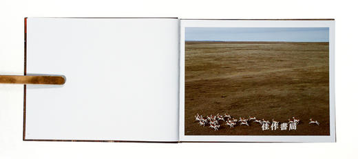 Andrew Moore: Dirt Meridian/安德鲁·摩尔：藏污纳垢的子午线 商品图2