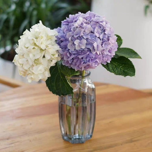 绣球一枝 颜色备注 商品图0