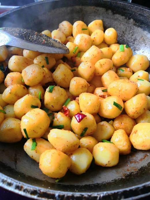 520_693竖版 竖屏