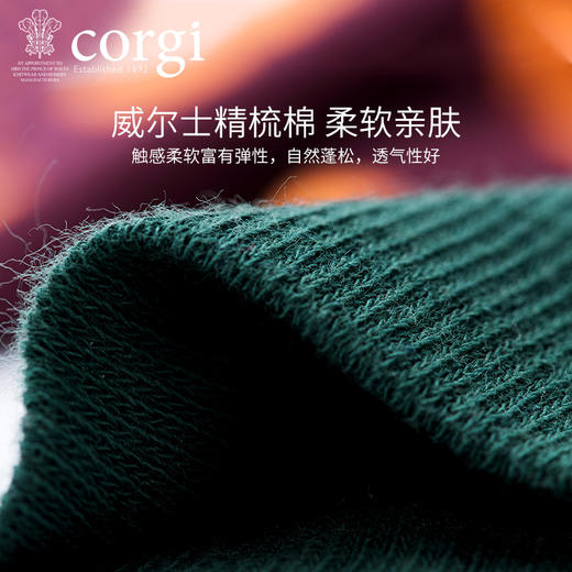 英国CORGI·春夏新款男士时尚波点轻棉中筒袜进口休闲运动袜子 商品图3