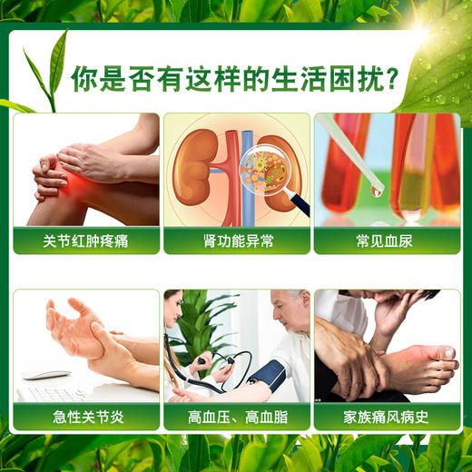 【品牌直发】FANCL 尿酸支援 商品图3