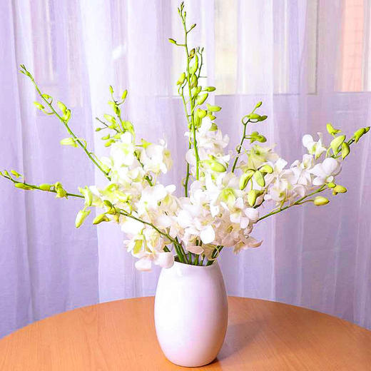 白色洋兰12枝一扎 商品图0