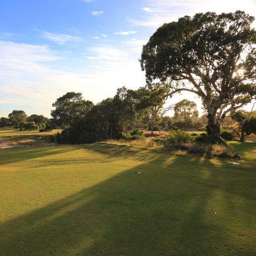 田庄高尔夫俱乐部(西场) The Grange Golf Club（west）| 澳大利亚高尔夫球场 俱乐部 商品图2