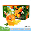 迪士尼伦晚橙3kg 商品缩略图1