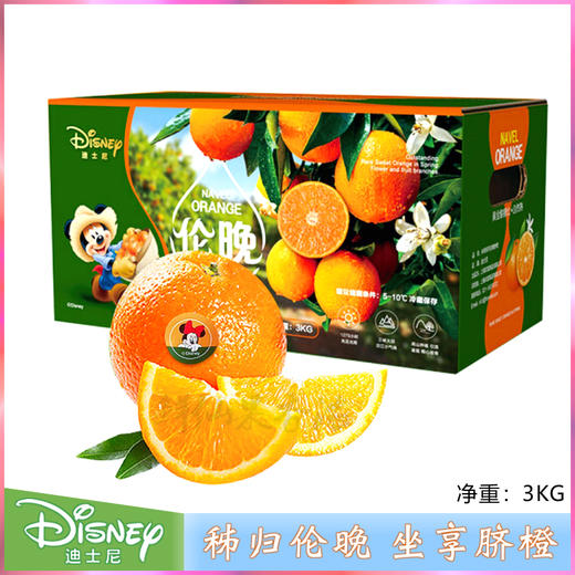 迪士尼伦晚橙3kg 商品图1