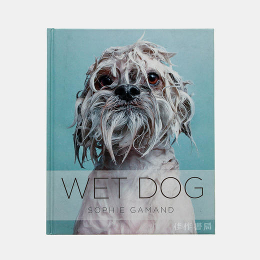 Wet Dog / 淋湿的狗 商品图0