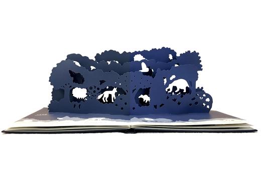 寻找午夜精灵：弹跳出来的影子剧场  奇想国精选创意立体书 动物科普 光影游戏  立体书 商品图1