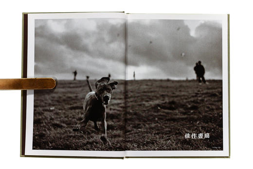 Sean Ellis – Kubrick The Dog/尚恩·埃利斯—库布里克 狗 商品图3