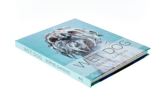 Wet Dog / 淋湿的狗 商品图1