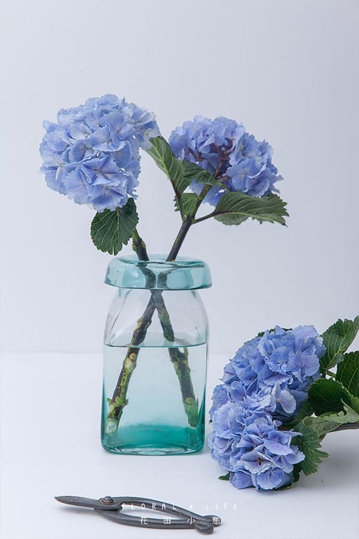 绣球一枝 颜色备注 商品图2