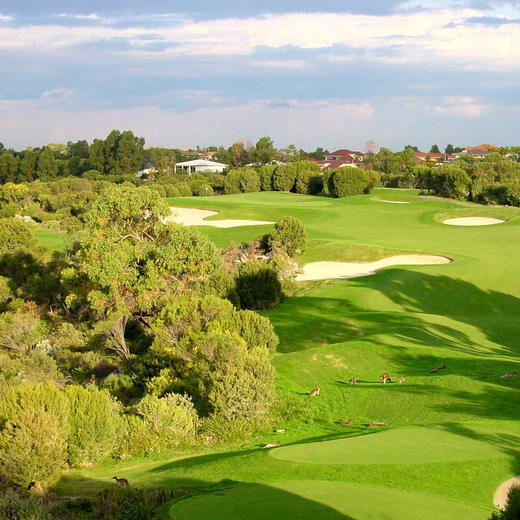 君乐达度假酒店 Joondalup Resort| 澳大利亚高尔夫球场 俱乐部 | 珀斯高尔夫 商品图3