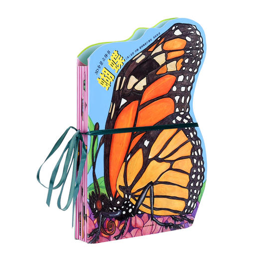 3d全景立体书蝴蝶