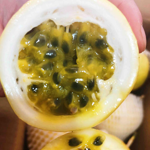 黄金百香果🎁 空运黄金百香果，维c你的世界，甜蜜你的生活，无需泡水，可以空口吃，一只不过瘾可以多来几只。 商品图7