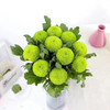 绿色乒乓菊5枝一扎 商品缩略图0