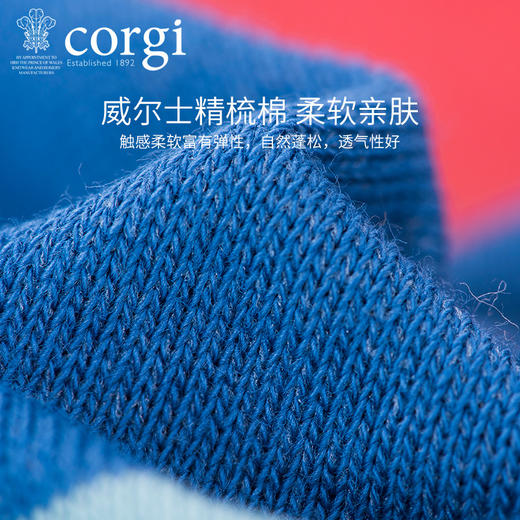 英国CORGI·秋冬季男女同款轻棉长袜中筒袜休闲运动条纹袜子 商品图3