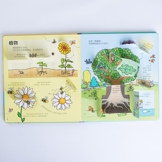 尤斯伯恩看里面（低幼版）·揭秘科学 英国Usborne出版社王牌科普 See Inside揭秘系列图书 50多张翻页 商品图4