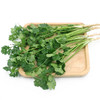 鸿翠园 有机香菜 商品缩略图3