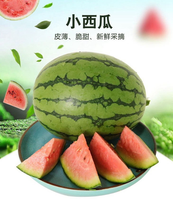 魔雷西瓜1粒装头茬瓜甜度高脆爽