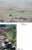 预售 【中商原版】四夷居中国：东亚大陆人类简史 港台原版 张经纬 香港中和出版 商品缩略图2