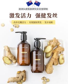 【升级新包装】Ficcecode菲诗蔻生姜护发洗发水300ml、发膜300ml孕妇可用