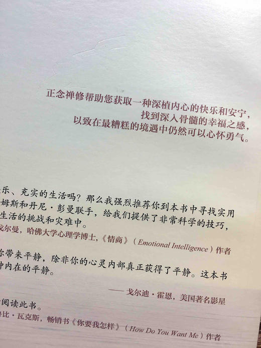 正念禅修：在喧嚣的世界中获取安宁《情商》作者丹尼尔戈尔曼 胡因梦倾情推荐正念减压疗法书籍身心灵读物 禅修 商品图5