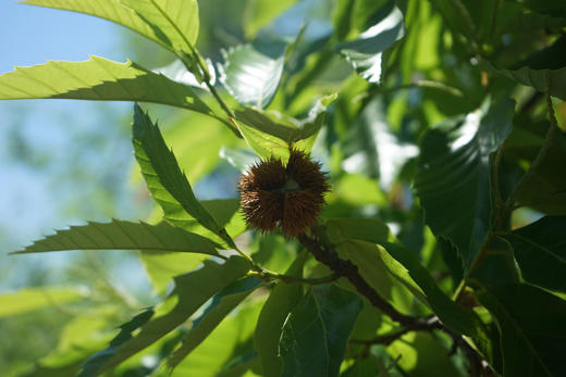 测试多网点 商品图0